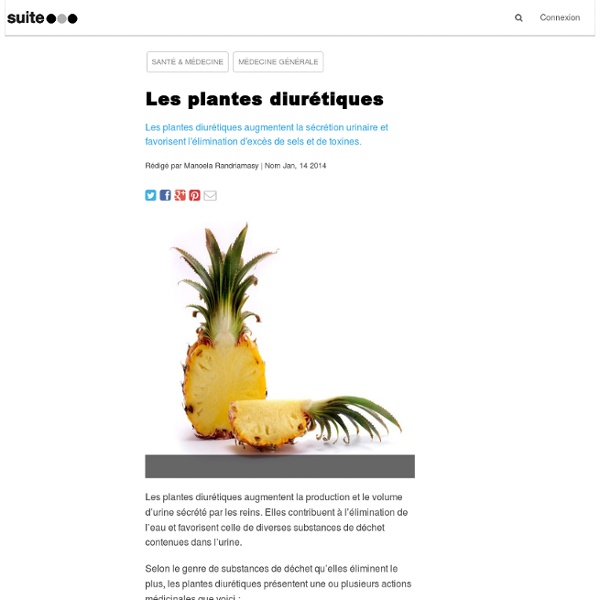 Les plantes diurétiques