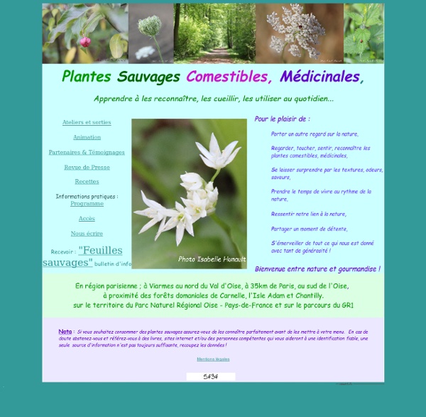 Index Plantes sauvages comestibles