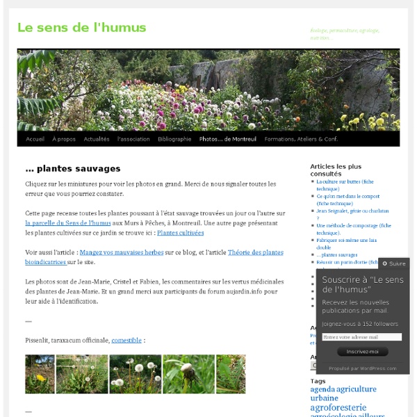 … plantes sauvages « Le sens de l’humus