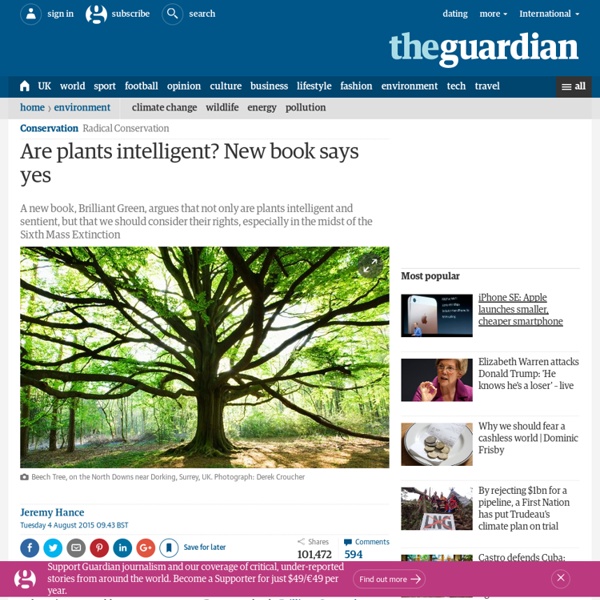 Are plants intelligent? New book says yes