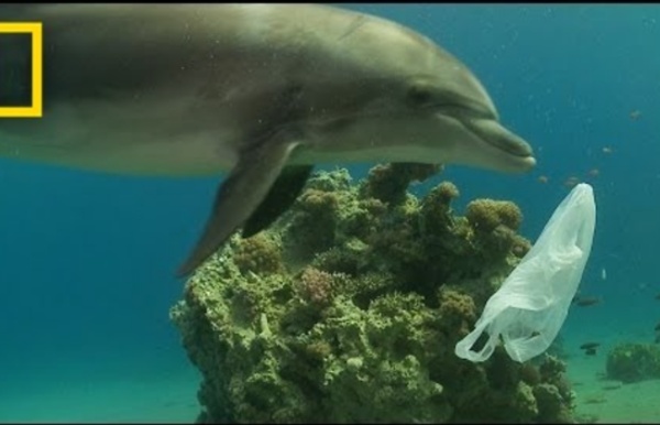 How We Can Keep Plastics Out of Our Ocean