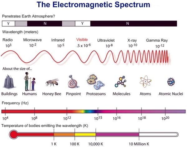 ElectromagneticSpectrum.png (PNG Image, 775x610 pixels)
