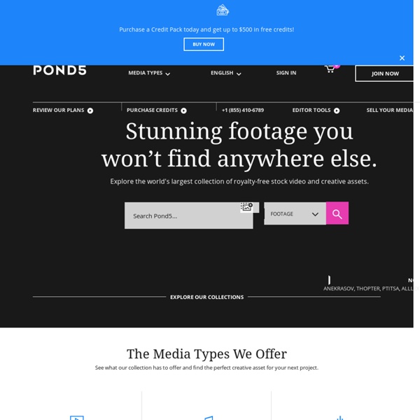 Pond5 - Stock Video Library