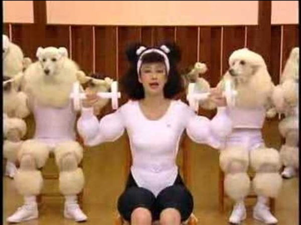 Poodle Exercise with Humans‬‏