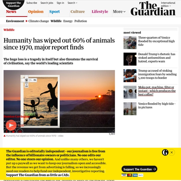 Humanity has wiped out 60% of animals since 1970, major report finds