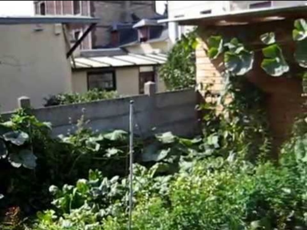 Mon jardin et potager urbain inspiré de la permaculture