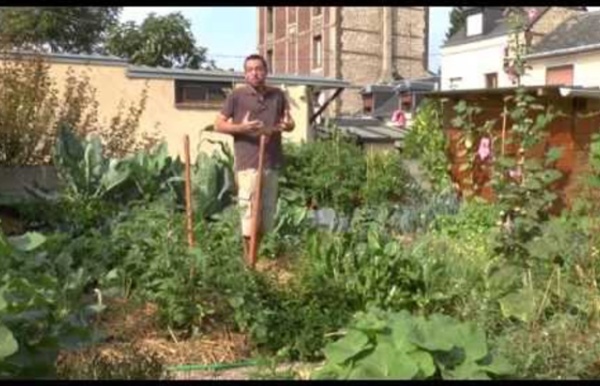 Mon jardin potager urbain permaculture Sept 2015