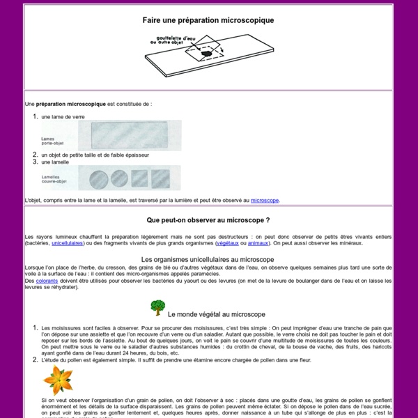 Réaliser une préparation microscopique