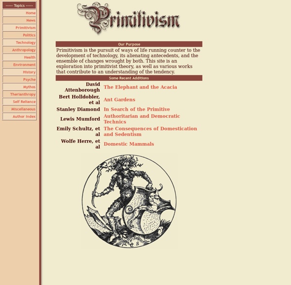 Primitivism