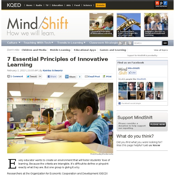 7 Essential Principles of Innovative Learning