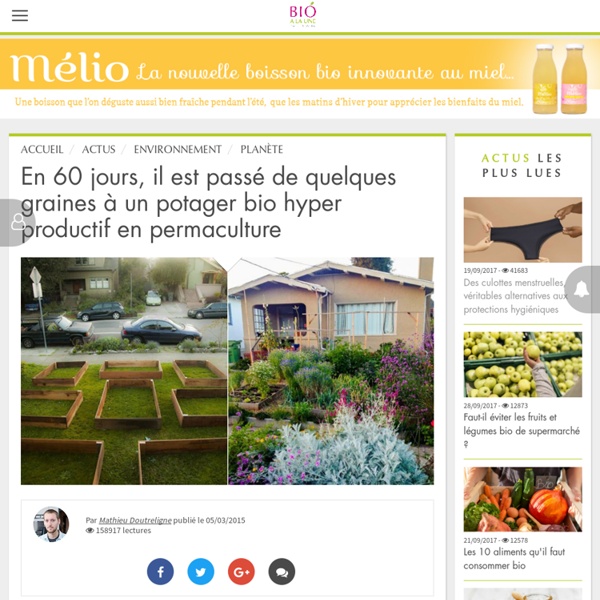 En 60 jours, il est passé de quelques graines à un potager bio hyper productif en permaculture