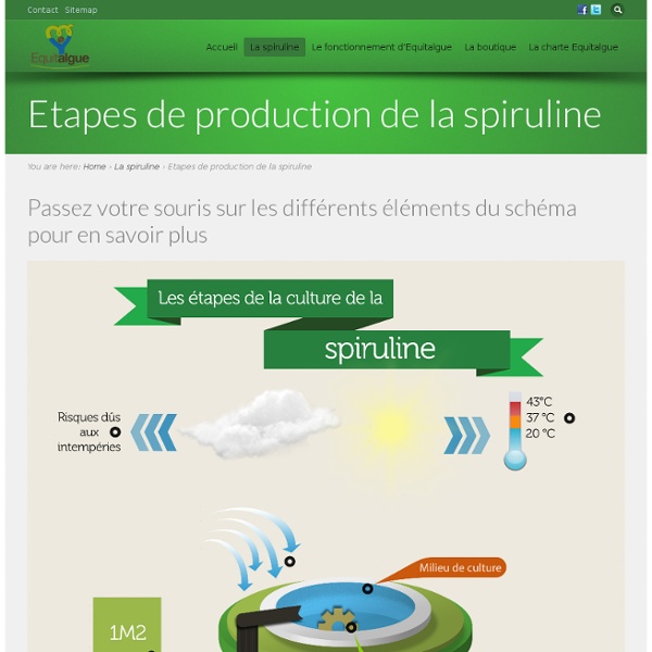 Etapes de production de la spiruline