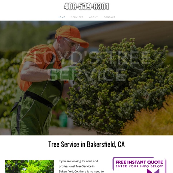 Tree Service, Professional Tree Trimming, Bakersfield, CA