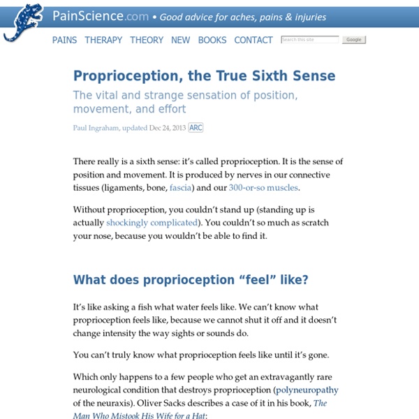 Proprioception, the True Sixth Sense