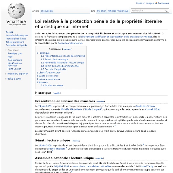 Loi relative à la protection pénale de la propriété littéraire et artistique sur internet