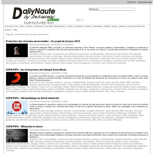 Dailynaute.com - Le Blog de Dominique Desaunay