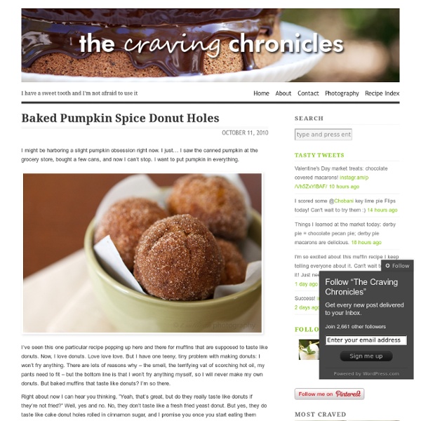 Baked Pumpkin Spice Donut Holes & The Craving Chronicles