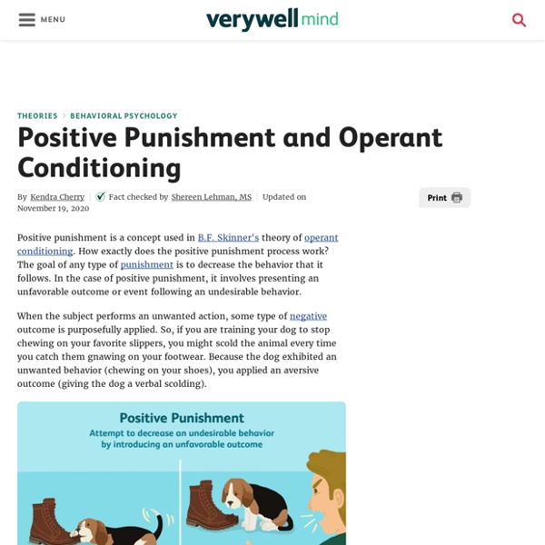Positive Punishment and Operant Conditioning