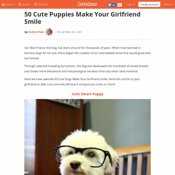 50 Cute Puppies Make Your Girlfriend Smile