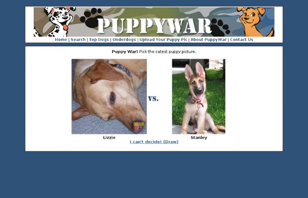 PuppyWar - Vote for your favorite cute puppy pictures! - StumbleUpon