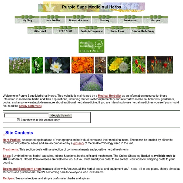 Purple Sage Medicinal Herbs