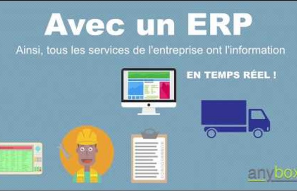 (1) QU'EST CE QU'UN ERP ?