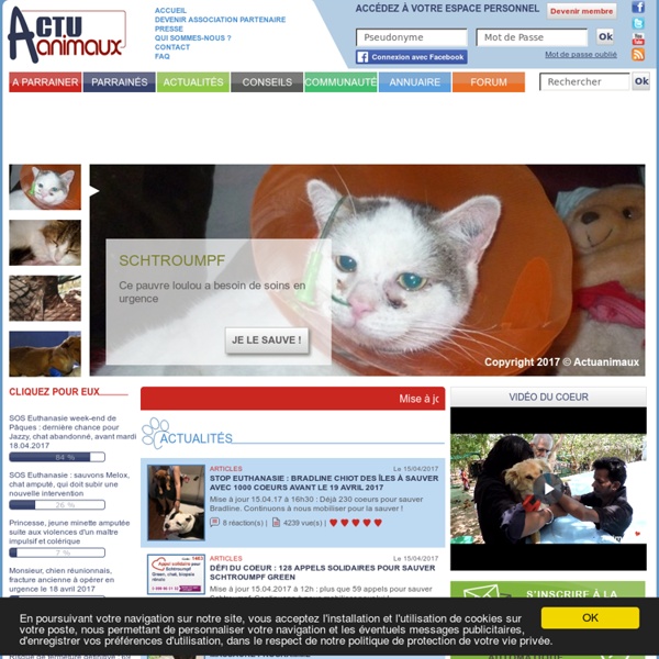 ACTU Animaux : sauvez des animaux en quelques clics !