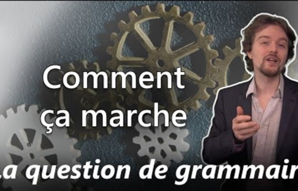 La question de grammaire au bac de français (EAF) - L'analyse syntaxique