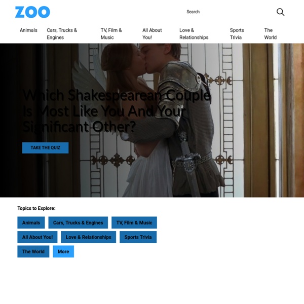 Zoo Search - a new, one-stop search engine