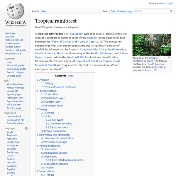 Tropical rainforest