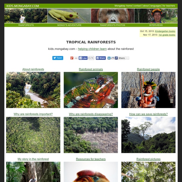 Rainforest Information for Kids