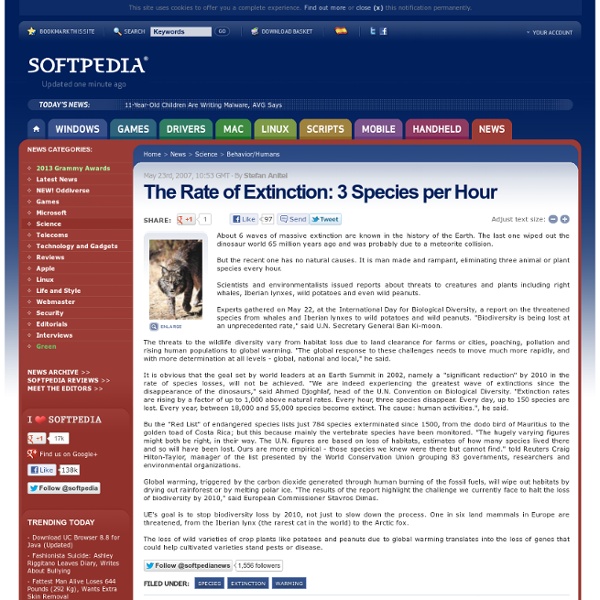 The Rate of Extinction: 3 Species per Hour