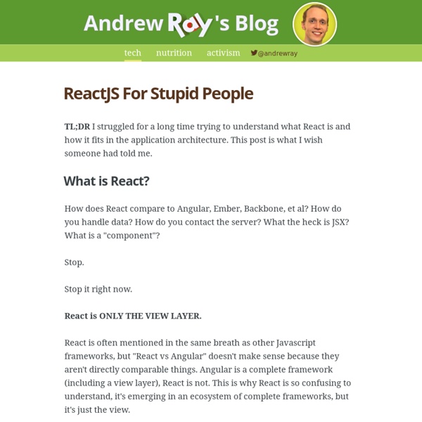 ReactJS For Stupid People