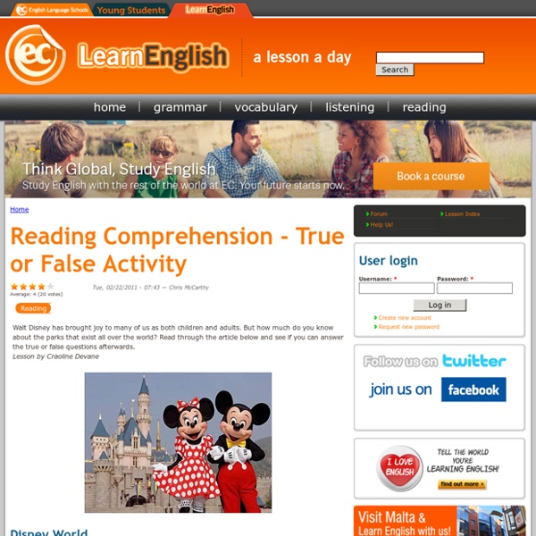Reading Comprehension - True or False Activity