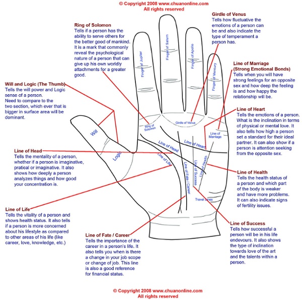 Palm reading diagram illustrated.jpg (1200×1191)