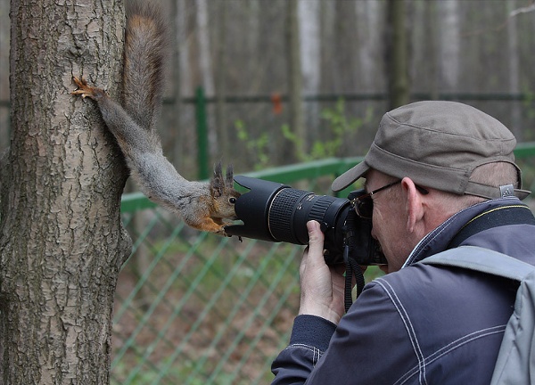 Ready-for-close-up.jpg (JPEG Image, 900×648 pixels)