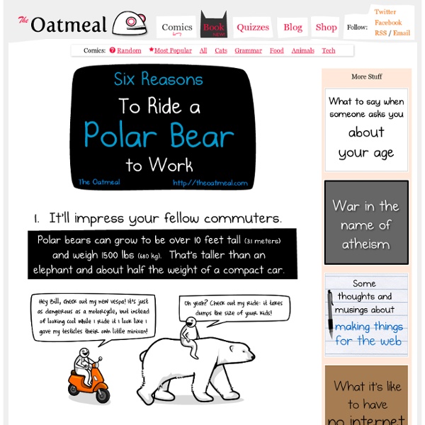 6 Reasons to Ride a Polar Bear to Work