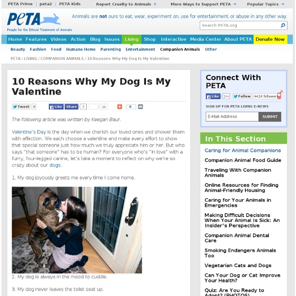 10 Reasons Why My Dog Is My Valentine
