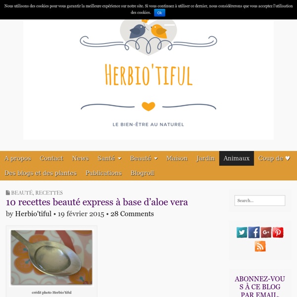 10 recettes beauté express à base d'aloe vera - Herbio'tiful