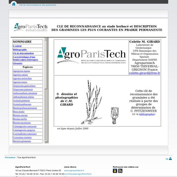 Clé de reconnaissance des graminées - CoursenLigne - AgroParisTech