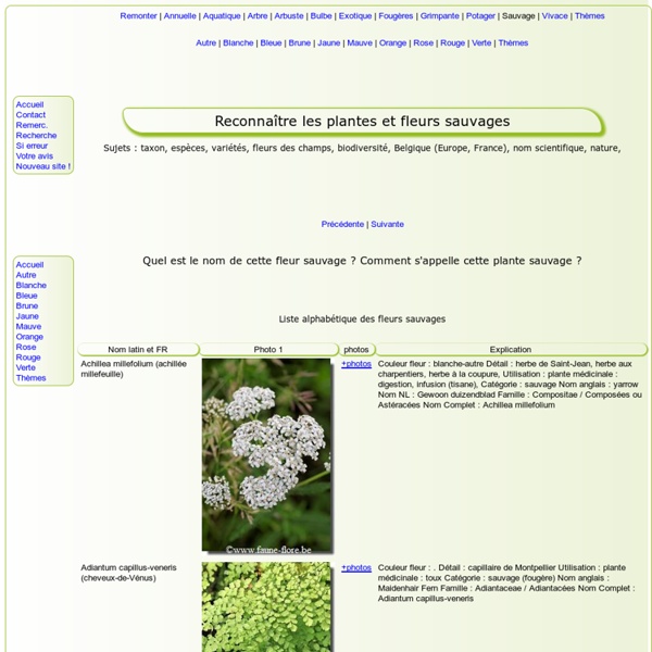 Reconnaître les fleurs : FLEURS SAUVAGES (photo, fleurs de Bach, santé, Belgique