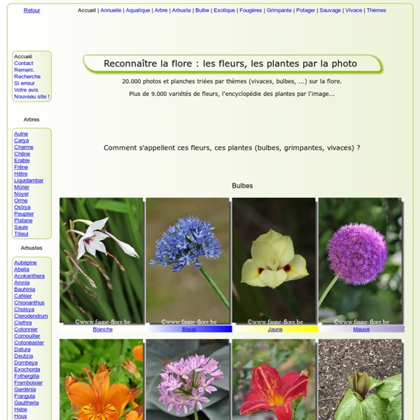 Reconnaître la FLORE (> 15000 photos) 7000 variétés de FLEURS, PLANTES, ARBRES et ARBUSTES