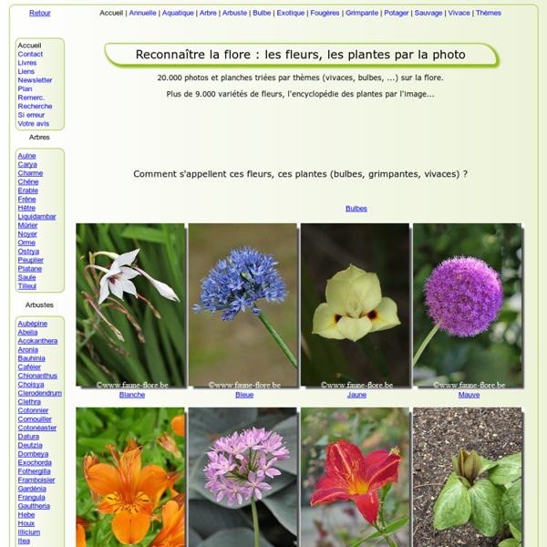 Reconnaître la FLORE (> 15000 photos) 7000 variétés de FLEURS, PLANTES, ARBRES et ARBUSTES