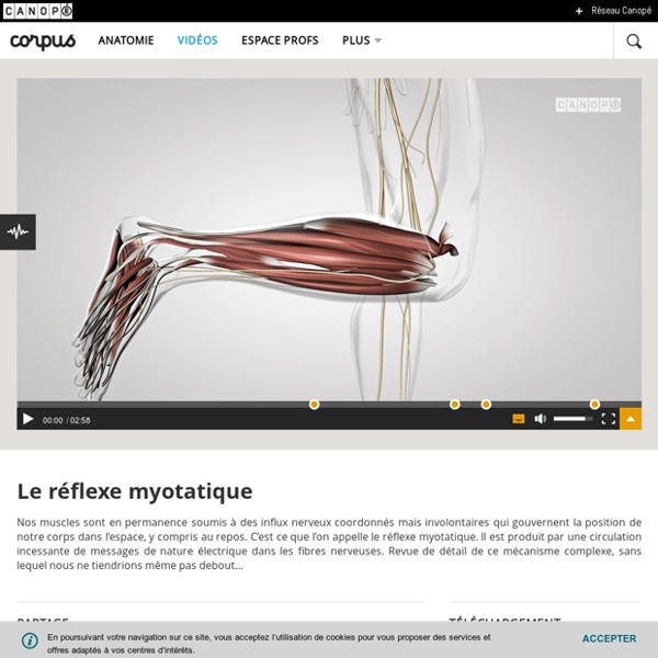 Le réflexe myotatique - Corpus - réseau Canopé