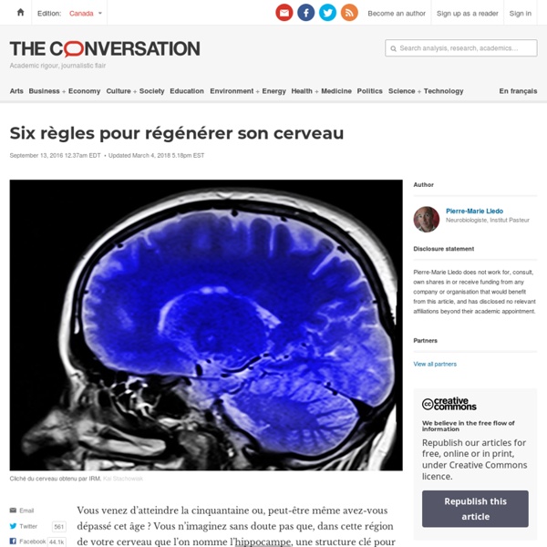 Six règles pour régénérer son cerveau