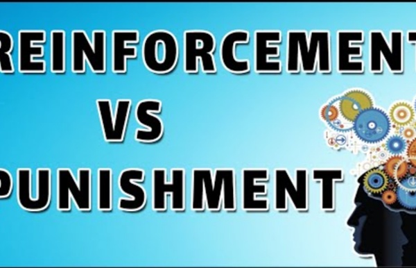 Reinforcement and Punishment (Positive and Negative) - Examples and Explanation