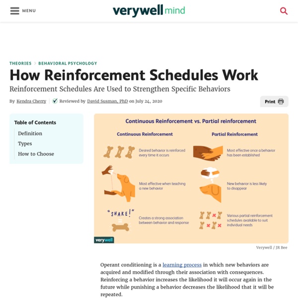 What Is a Schedule of Reinforcement?