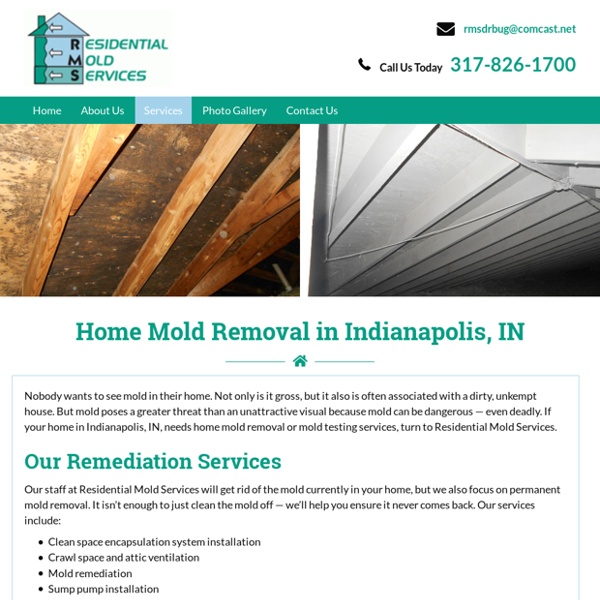 Mold Testing and Mold Remediation Services in Indianapolis, IN