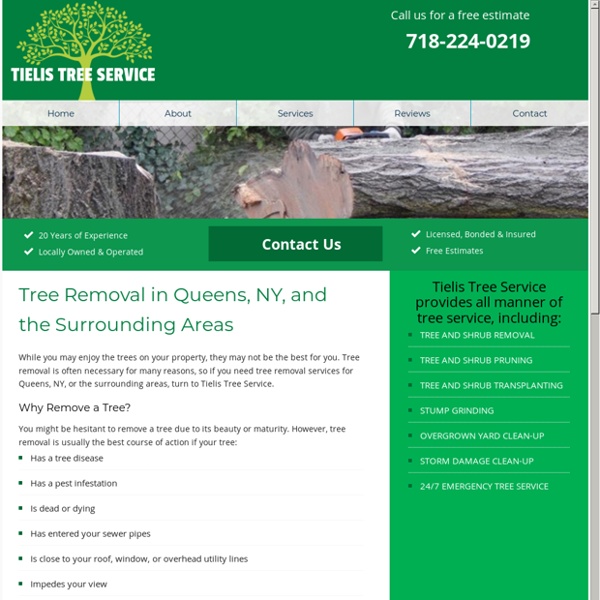 Tree Removal Services in Queens, NY