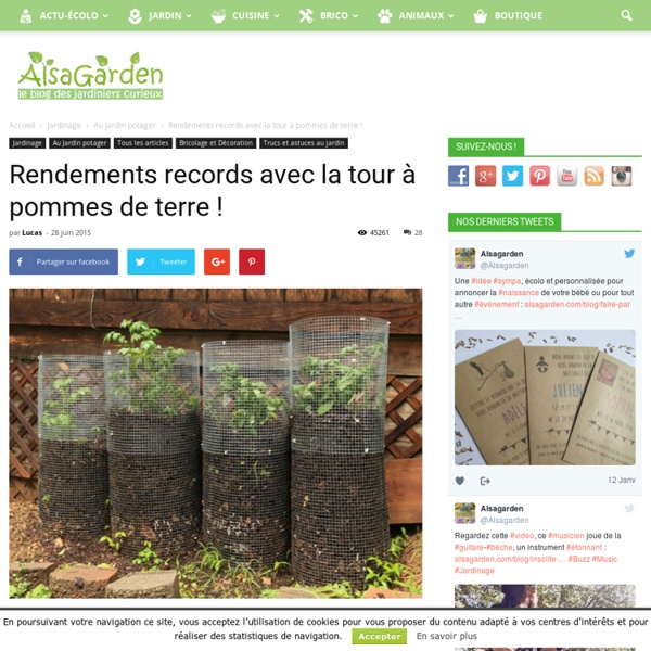 Rendements records avec la tour à pommes de terre ! - Blog Alsagarden - Plantes Rares, Jardins...